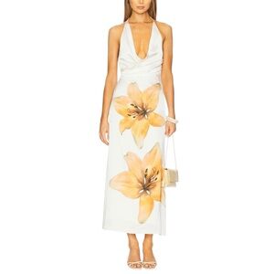 NWT Significant Other Tigerlily Elaina Maxi Dress Size 2